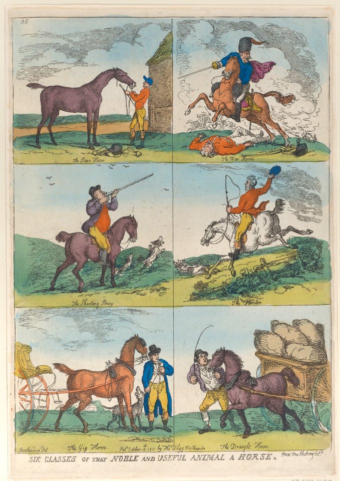 Six Classes of the Noble and Useful Animal a Horse MET DP883774
