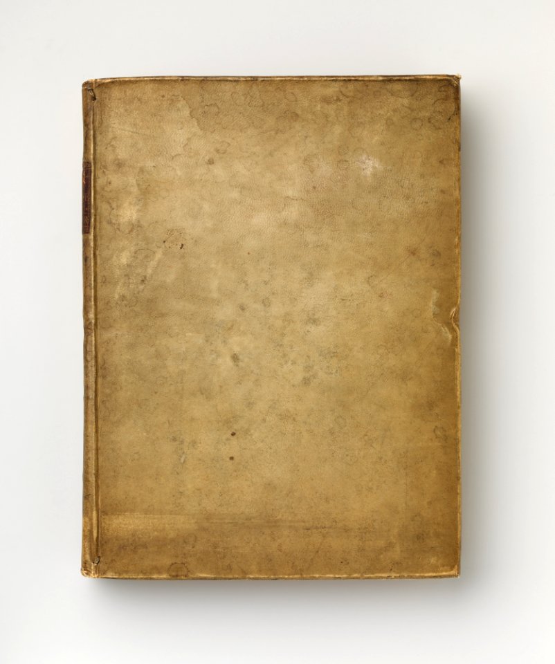 Science Books- Gemmae Antiquae Litteratae; Espozione Anatomica della Struttura del Corpo Umano del Winslow, tradotto dal Franzese (...) tome 1 and 2 MET DP-13372-078