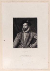 Sir Walter Raleigh Met DP886221