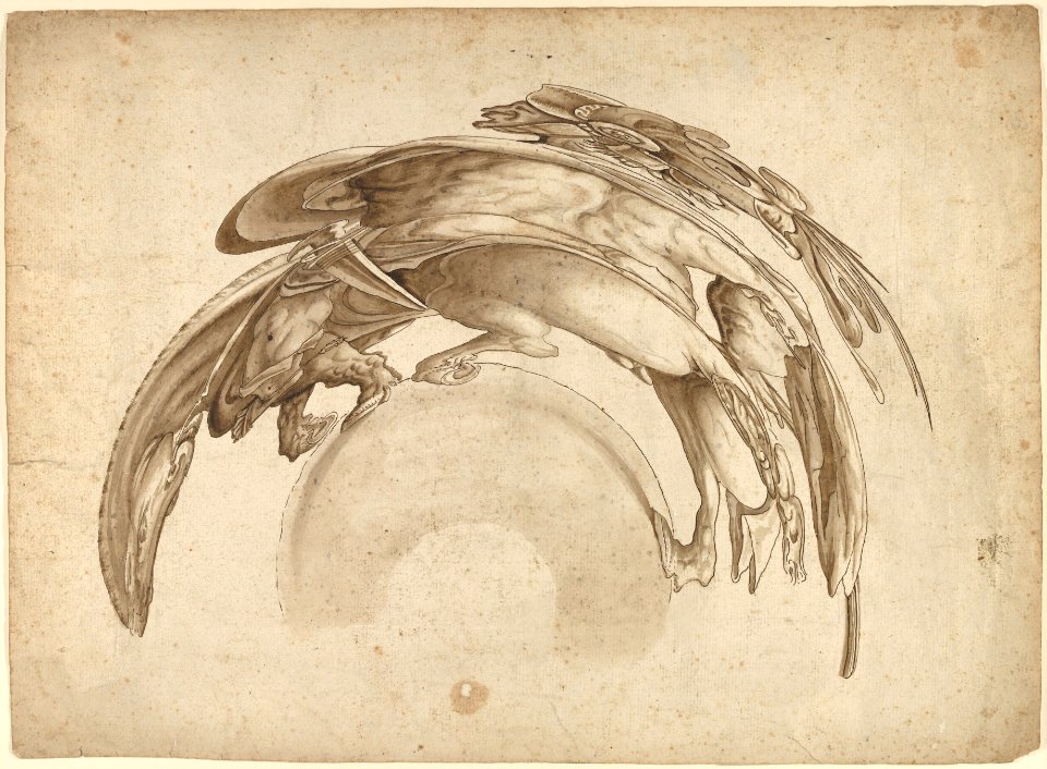 Soldier on Horseback in Catoptric Anamorphosis (after Hendrick Goltzius) MET DP832002