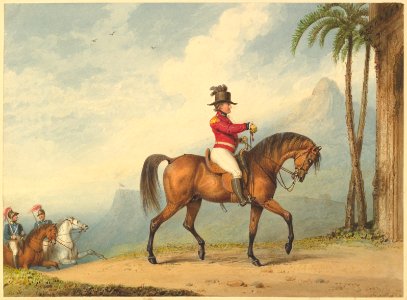 Sir John Floyd on Horseback MET DP820831