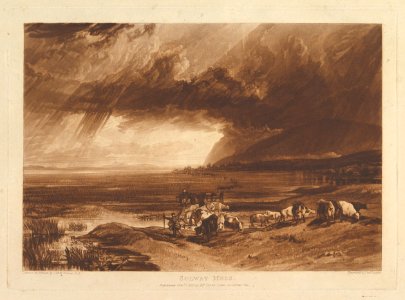 Solway Moss (Liber Studiorum, part XI, plate 52) MET DP821493
