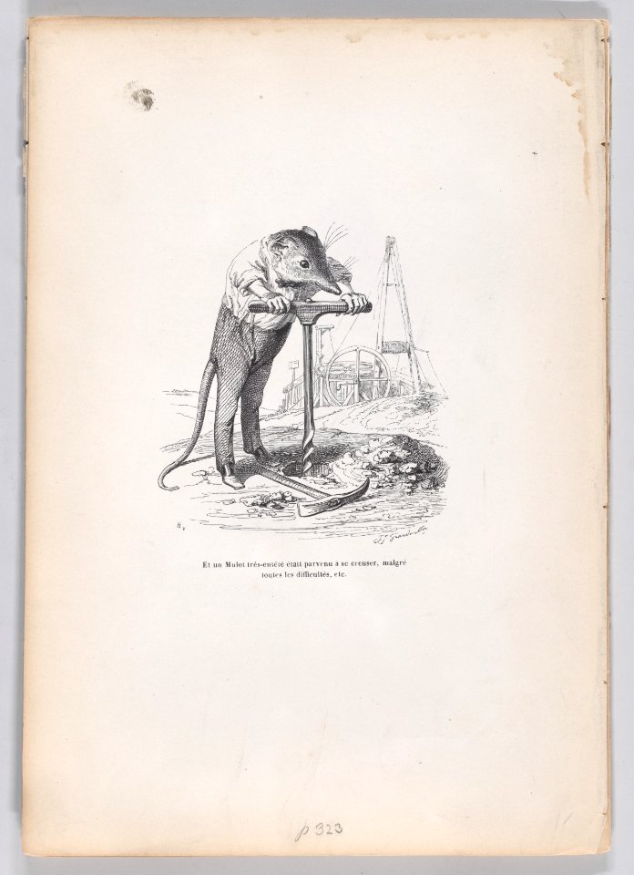 Scenes from the Private and Public Life of Animals Met DP887720