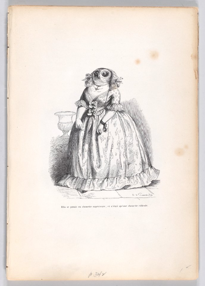 Scenes from the Private and Public Life of Animals Met DP887725