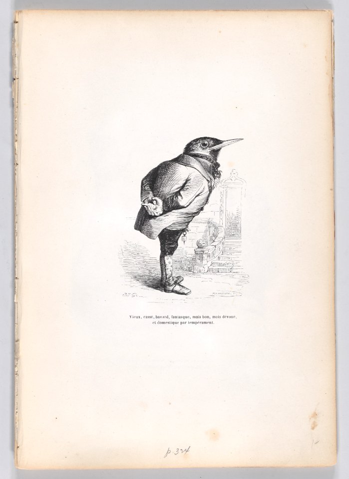 Scenes from the Private and Public Life of Animals Met DP887722