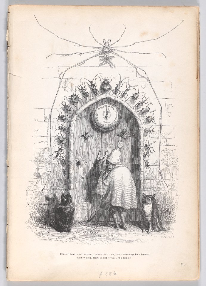 Scenes from the Private and Public Life of Animals Met DP887727