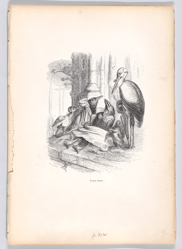 Scenes from the Private and Public Life of Animals Met DP887714