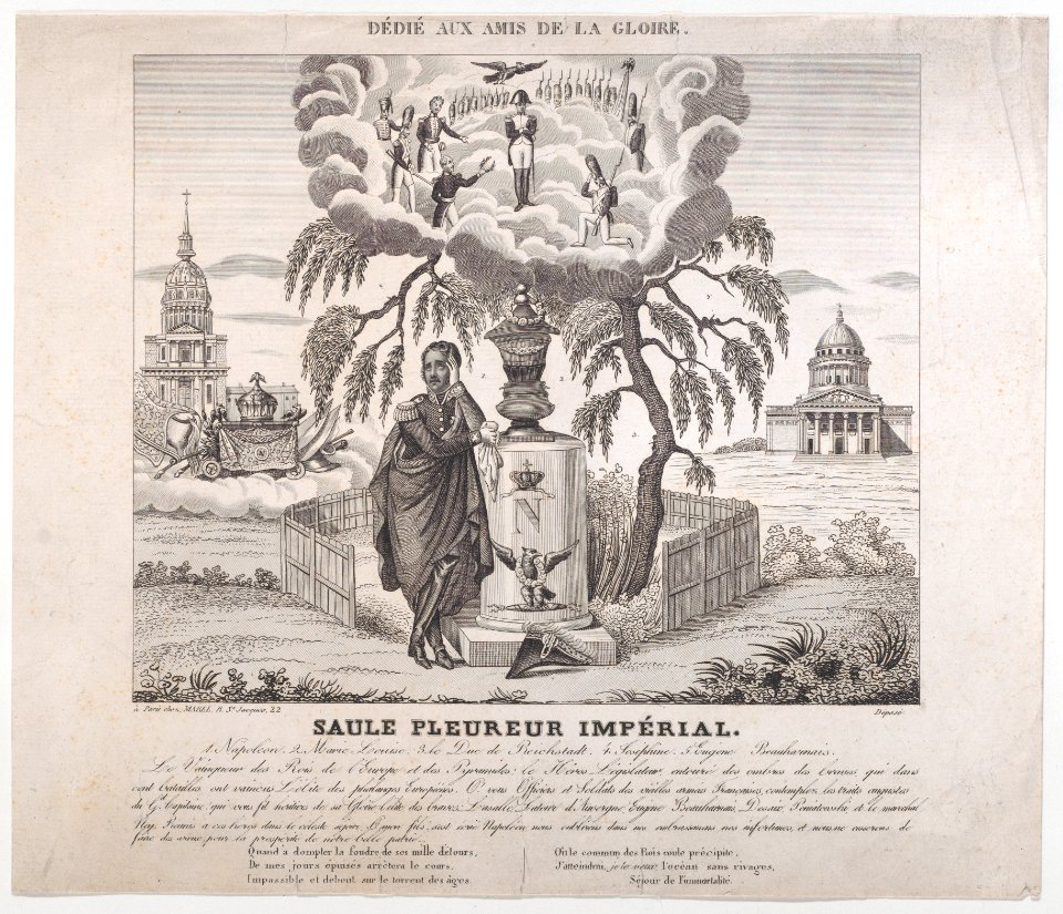Saule Pleureur Imperiale with hidden silhouettes of Napoleon and his family Met DP886298