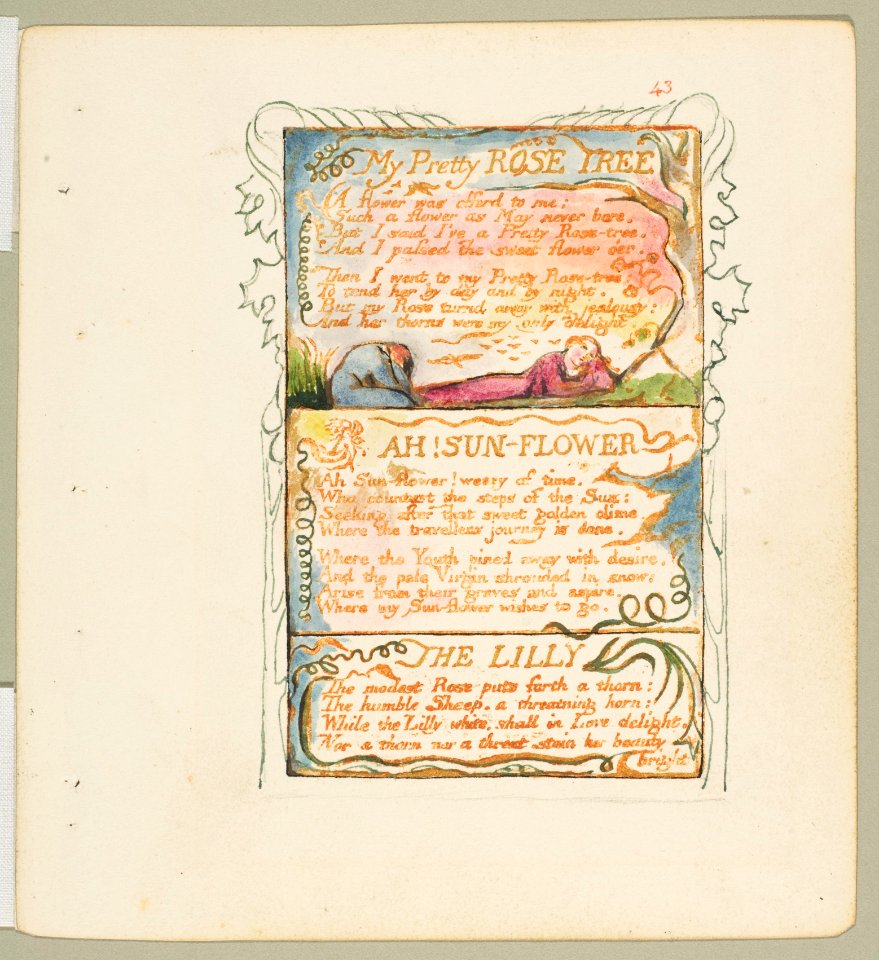 Songs of Innocence and of Experience- My Pretty Rose Tree, Ah! Sun-Flower, The Lily MET DP816691