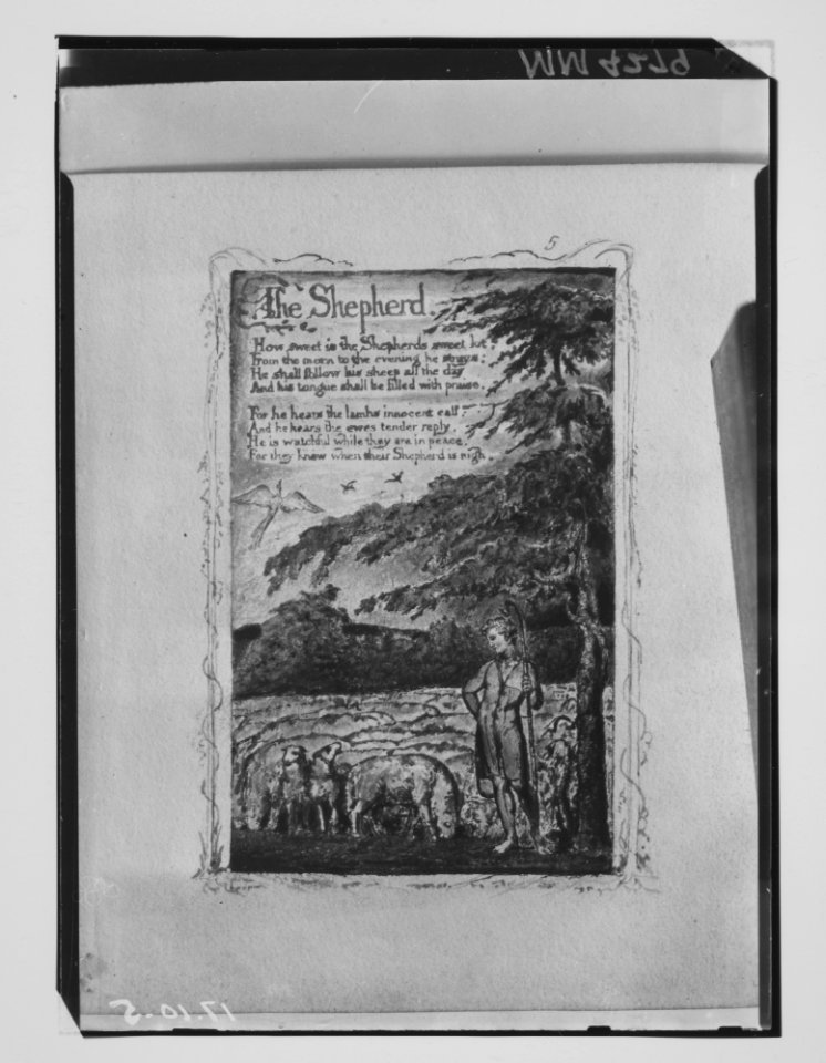 Songs of Innocence and of Experience- The Shepherd MET MM4279