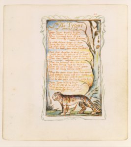 Songs of Innocence and of Experience- The Tyger MET DT992