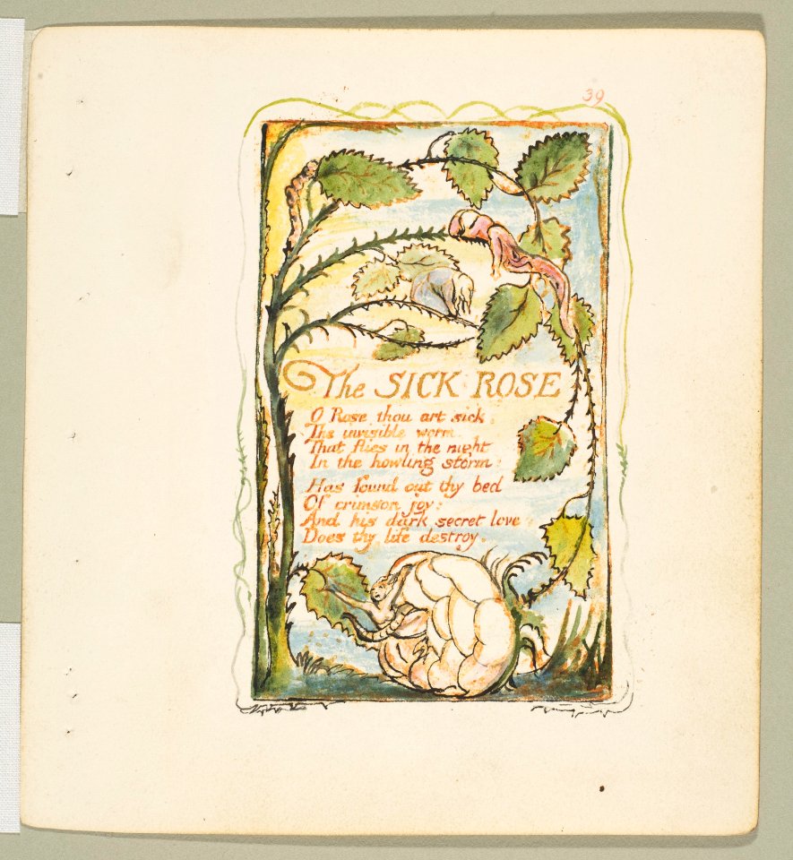Songs of Innocence and of Experience- The Sick Rose MET DP816680