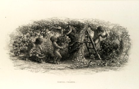 Songs of Shakespeare, Illustrated by the Etching Club MET DP114130