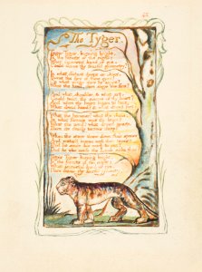 Songs of Innocence and of Experience- The Tyger MET DP816703