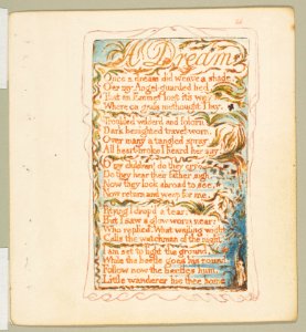Songs of Innocence and of Experience- A Dream MET DP816667