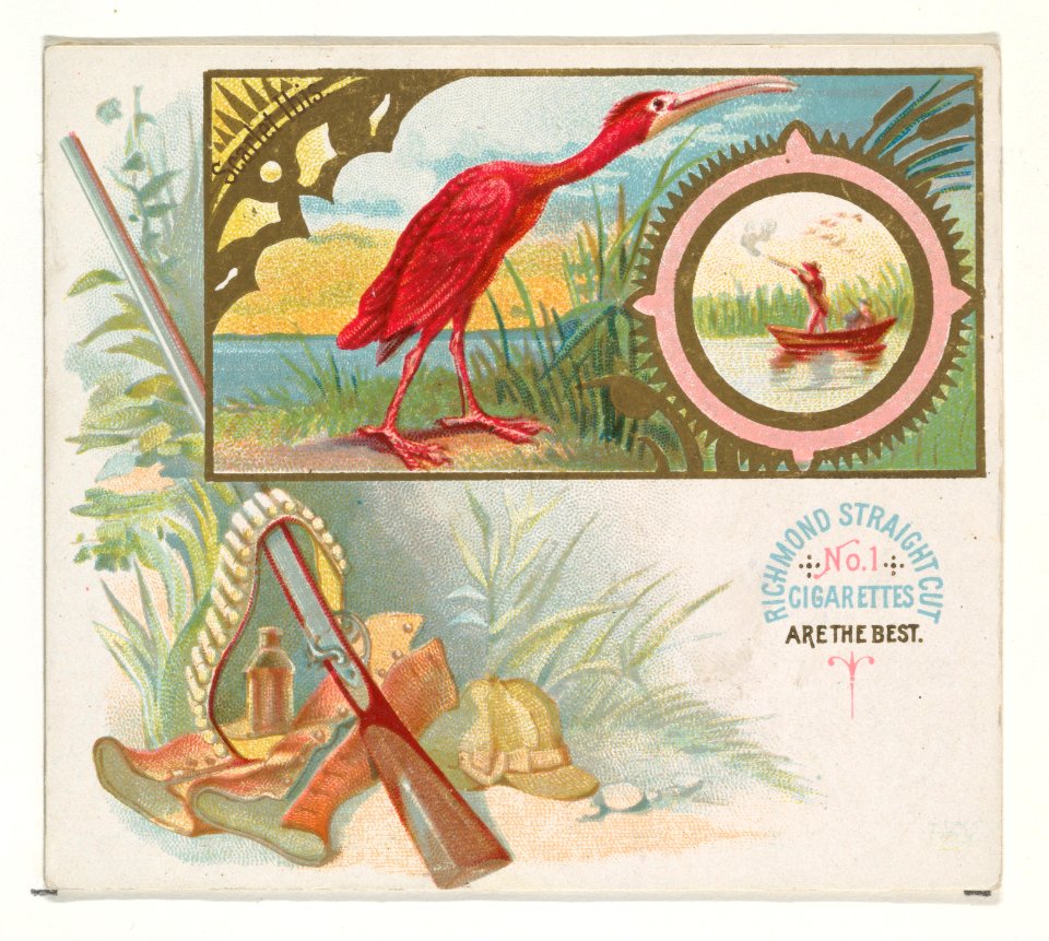 Scarlet Ibis, from the Game Birds series (N40) for Allen & Ginter Cigarettes MET DP839182