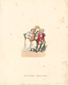 Signiora Squalini MET DP879607