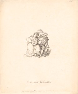 Signiora Squalini MET DP879606