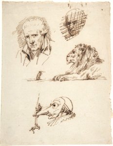 Sheet of Studies- Three Male Heads, a Lion and a Mouse MET DP805794