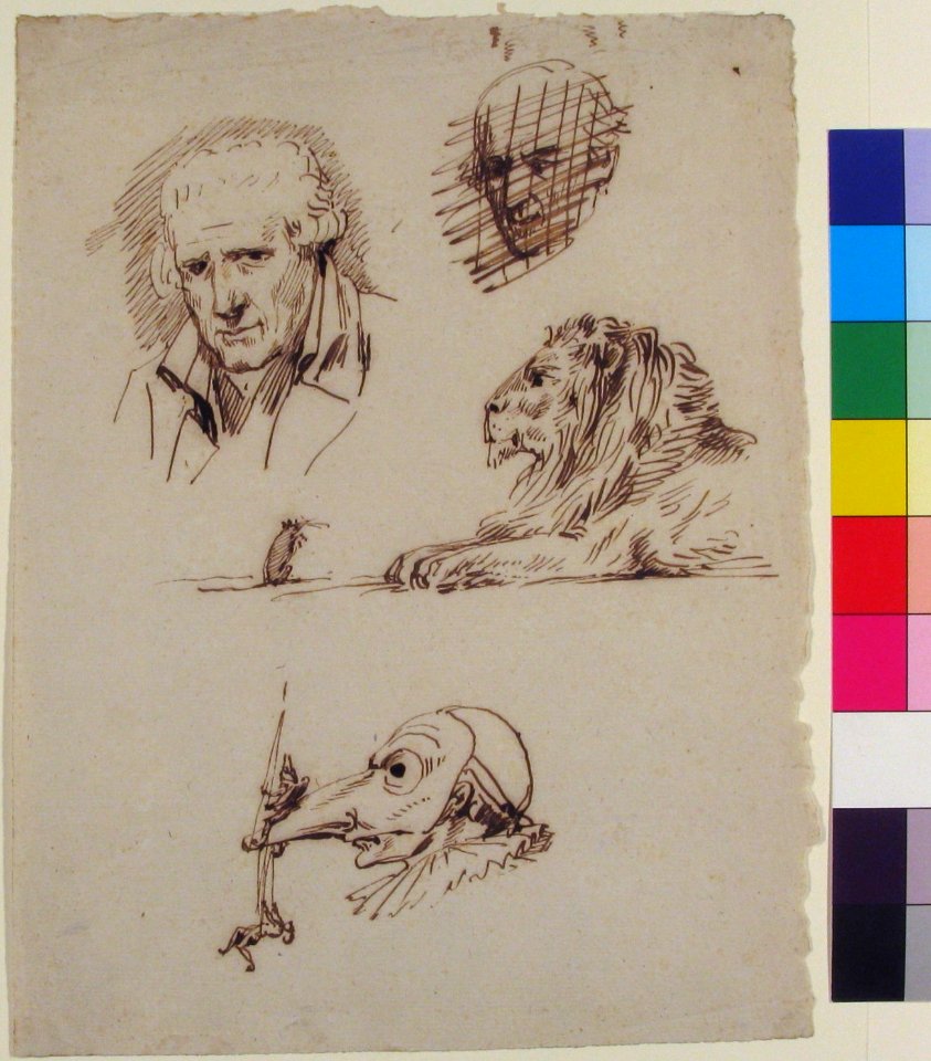 Sheet of Studies- Three Male Heads, a Lion and a Mouse MET 1989.286.3