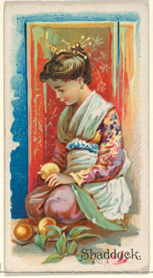 Shaddock, from the Fruits series (N12) for Allen & Ginter Cigarettes Brands MET DP834646