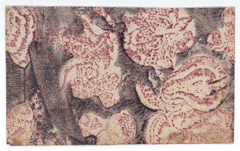 Sheet with floral pattern with dark background Met DP887122