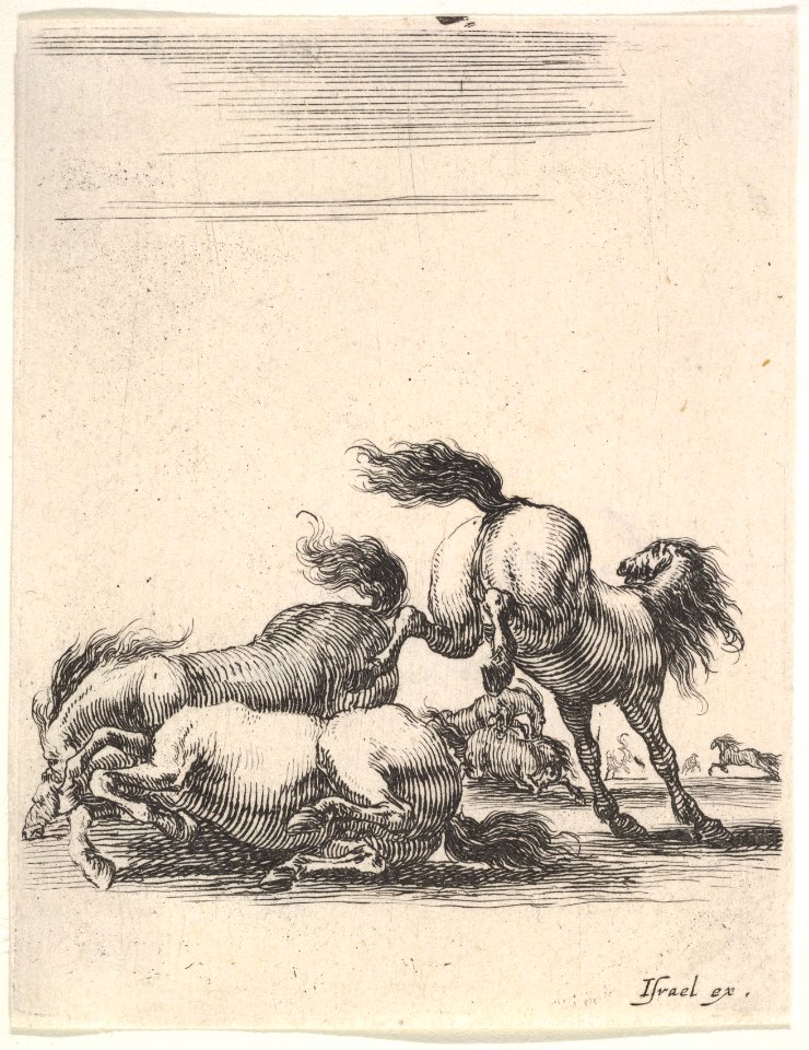Several horses fighting, one horse to right kicking two horses on the ground below to left, other horses fighting in the background, from 'Various cavalry exercises' (Diverses exercices de cavalerie) MET DP833131