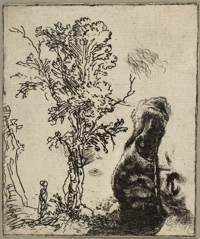 Sheet with Two Studies- A Tree and the Upper Part of a Head of Rembrandt Wearing a Velvet Cap MET DP814542