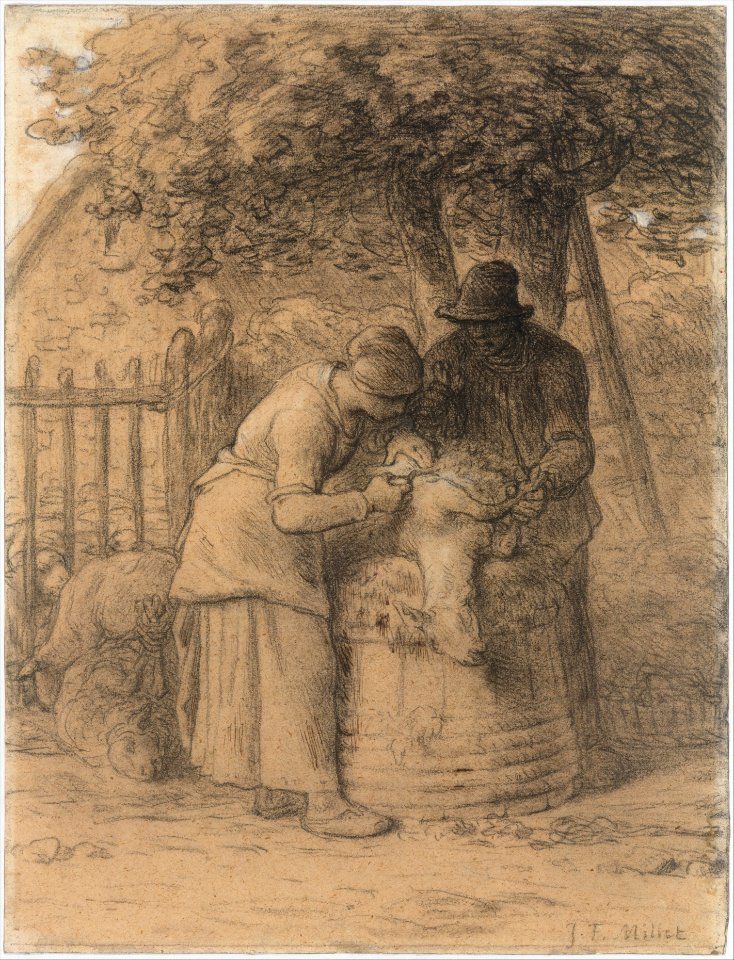 Sheepshearing Beneath a Tree MET DT11815