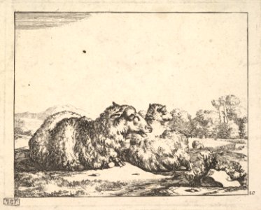 Sheep, from a set of 16 plates MET DP828269