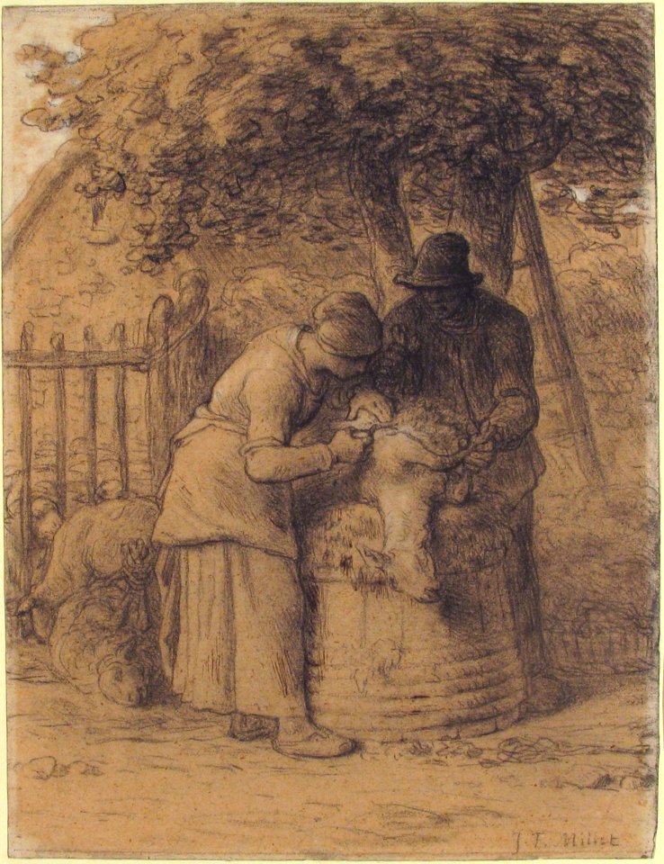 Sheepshearing Beneath a Tree MET 40.12.3