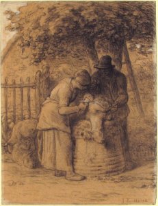 Sheepshearing Beneath a Tree MET 40.12.3