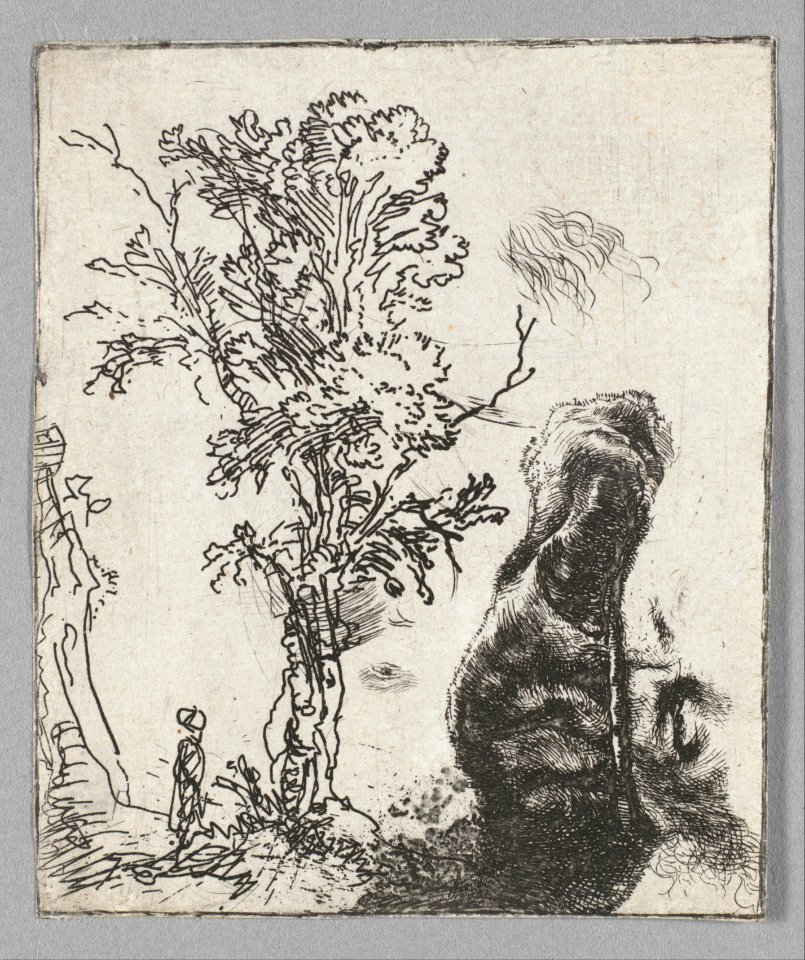 Sheet with Two Studies- A Tree and the Upper Part of a Head of Rembrandt Wearing a Velvet Cap MET DP108237