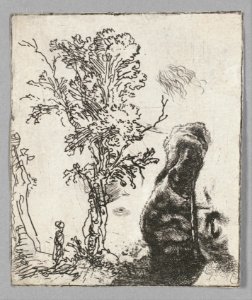 Sheet with Two Studies- A Tree and the Upper Part of a Head of Rembrandt Wearing a Velvet Cap MET DP108237