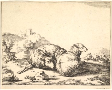 Sheep, from a set of 16 plates MET DP828263