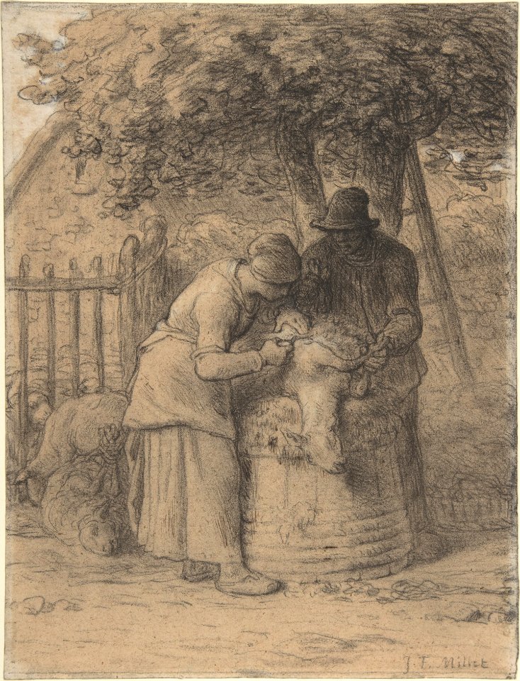 Sheepshearing Beneath a Tree MET DP807723