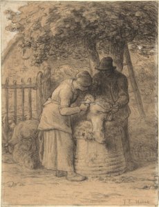 Sheepshearing Beneath a Tree MET DP807723