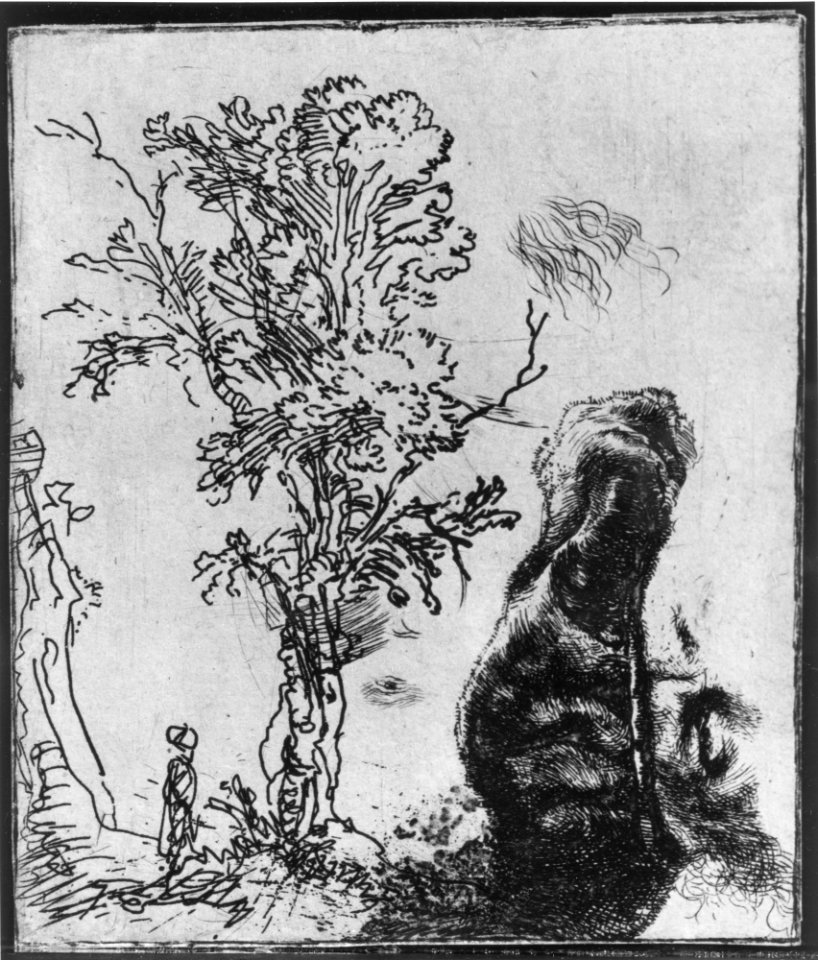 Sheet with Two Studies- A Tree and the Upper Part of a Head of Rembrandt Wearing a Velvet Cap MET MM47907