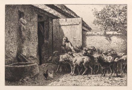 Sheep's Pen Met DP886989