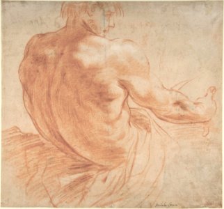 Seated Youth Facing Right, Seen from the Back MET DP808283