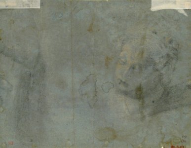 Seated satyr, with enlarged head of same (recto); head of a woman (verso) MET 80.3.83 VERSO
