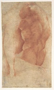 Seated Goddess Diana (recto); Studies of a Nude Male Torso Seen from the Rear, and a leg (verso) MET DP810968