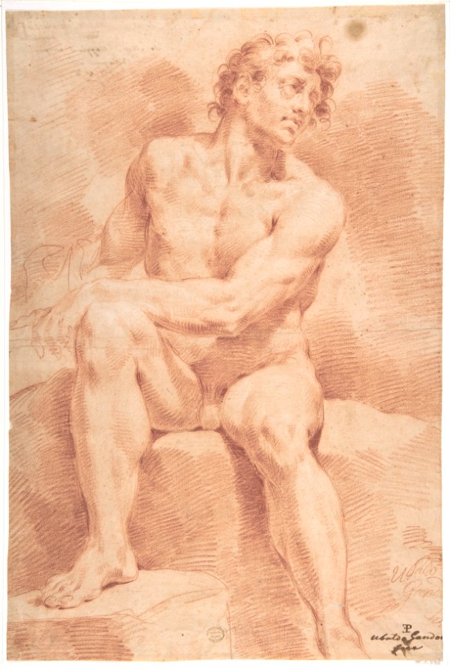 Seated Male Nude MET DP801350