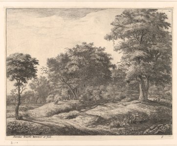 Shepherd Asleep on a Hummock MET DP876264