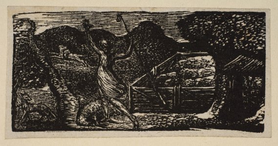 Shepherd Chases Away a Wolf, from Thornton's Pastorals of Virgil MET DP816865