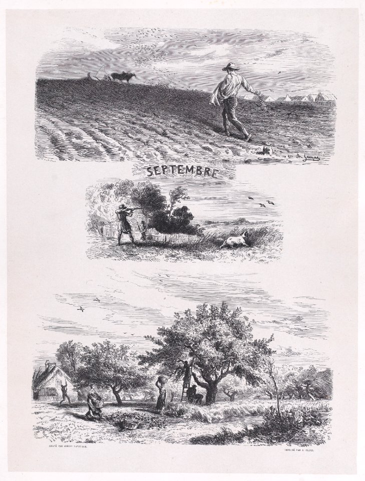 September from Album of Rustic Subjects Met DP888914
