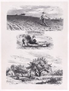 September from Album of Rustic Subjects Met DP888914
