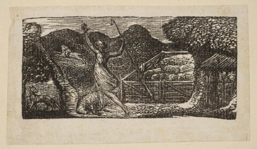 Shepherd Chases Away a Wolf, from Thornton's Pastorals of Virgil MET DP816563