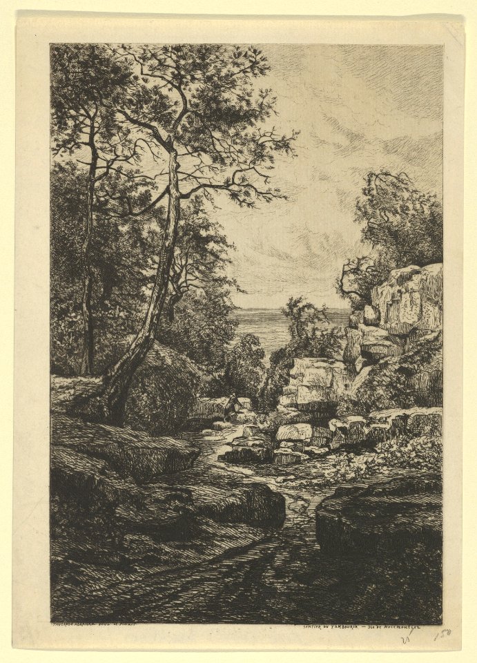 Sentier du Tambourin, Ile de Noirmoutier MET DP841090
