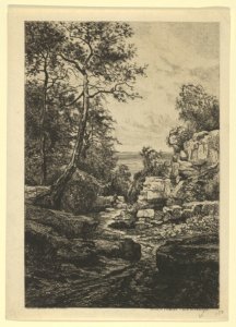 Sentier du Tambourin, Ile de Noirmoutier MET DP841090